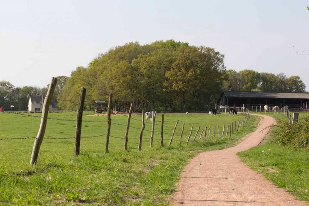Le site de la commune d'Aviron Evreux Portes de Normandie (EPN)